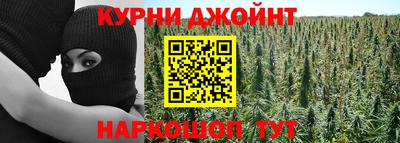 гашик Краснознаменск