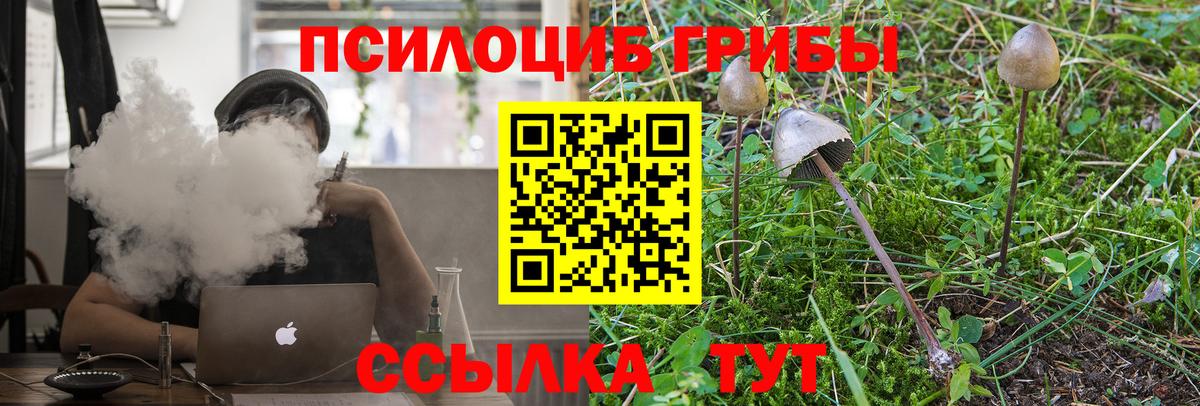 Галлюциногенные грибы MAGIC MUSHROOMS Каменск-Уральский