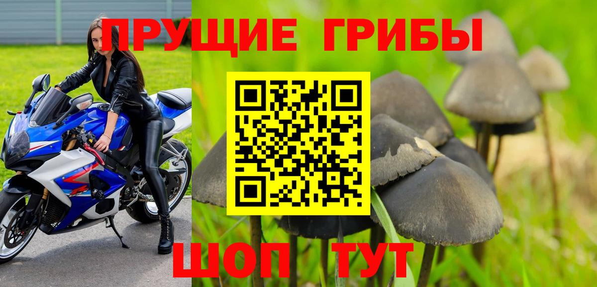 Галлюциногенные грибы Psilocybine cubensis  Галлюциногенные грибы ЛСД  Каменск-Уральский  Вход с VPN 